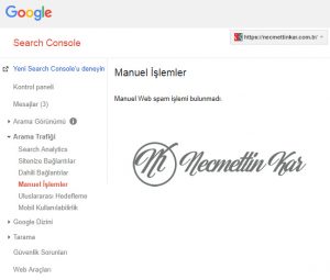 google-manuelspam-sorgulama-sayfasi